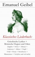 ebook: Klassisches Liederbuch