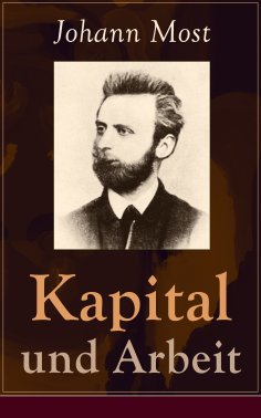 ebook: Kapital und Arbeit