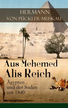 ebook: Aus Mehemed Alis Reich: Ägypten und der Sudan um 1840
