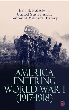 ebook: America Entering World War I (1917-1918)