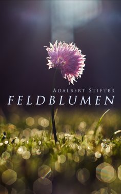 eBook: Feldblumen