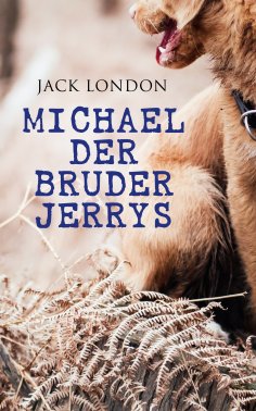ebook: Michael der Bruder Jerrys