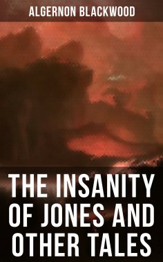 ebook: The Insanity of Jones and Other Tales