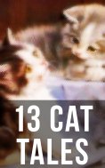 eBook: 13 Cat Tales