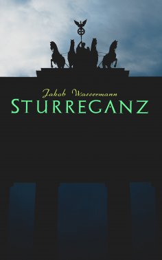 ebook: Sturreganz