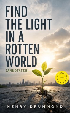 eBook: Find the Light in a Rotten World (Annotated)