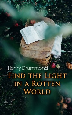 eBook: Find the Light in a Rotten World