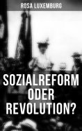 eBook: Sozialreform oder Revolution?