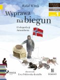 eBook: Wyprawa na biegun - O ekspedycji Amundsena