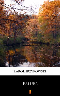 eBook: Pałuba