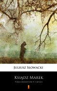 ebook: Ksiądz Marek