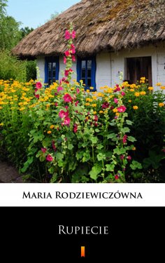 eBook: Rupiecie