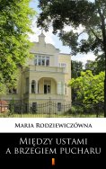 ebook: Między ustami a brzegiem pucharu