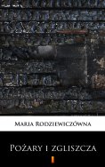eBook: Pożary i zgliszcza