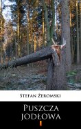 ebook: Puszcza jodłowa
