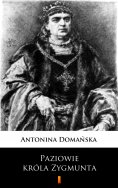 ebook: Paziowie króla Zygmunta