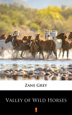 eBook: Valley of Wild Horses
