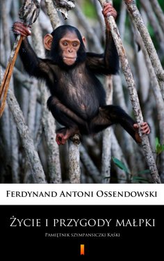 ebook: Życie i przygody małpki