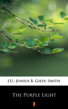 eBook: The Purple Light