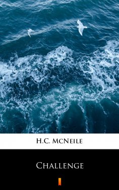 eBook: Challenge
