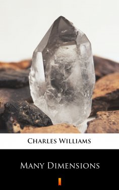 eBook: Many Dimensions