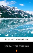eBook: Wild Geese Calling
