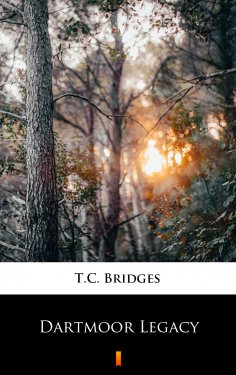 ebook: Dartmoor Legacy