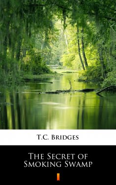 ebook: The Secret of Smoking Swamp