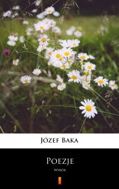 eBook: Poezje