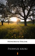 ebook: Pierwsze kroki