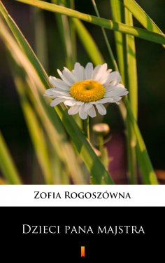 eBook: Dzieci pana majstra