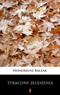 ebook: Stracone złudzenia