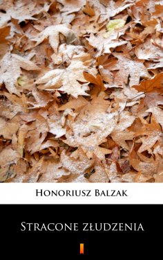 ebook: Stracone złudzenia