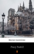 ebook: Palę Paryż