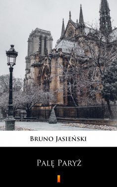 ebook: Palę Paryż