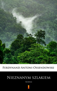 ebook: Nieznanym szlakiem