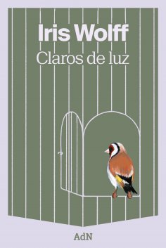 ebook: Claros de luz