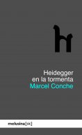 eBook: Heidegger en la tormenta