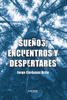 ebook: Sueños, encuentros y despertares