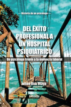 ebook: Del éxito profesional a un hospital psiquiátrico