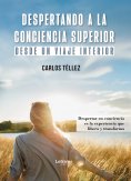 ebook: Despertando a la conciencia superior