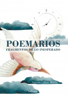 ebook: Poemarios fragmentos de lo inesperado