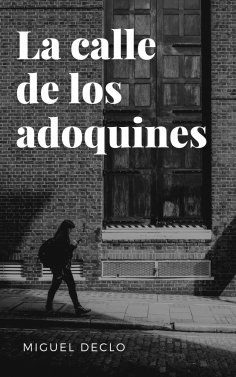ebook: La calle de los adoquines