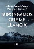 ebook: Supongamos que me llamo X