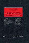 ebook: Estudios jurídicos en homenaje al Profesor Ricardo Alonso Soto