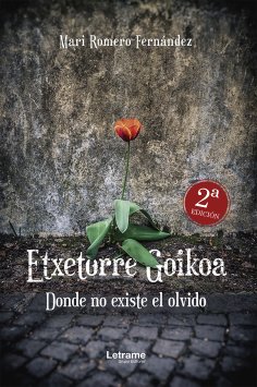 eBook: Etxetorre Goikoa