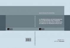 eBook: El régimen especial de responsabilidad civil de los prestadores para compartir contenidos en línea p