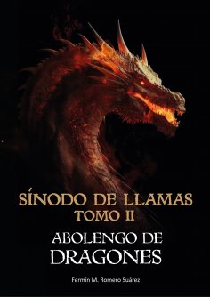 ebook: Sínodo de llamas