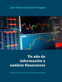 ebook: Un año de información y análisis financieros