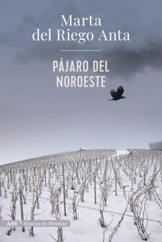ebook: Pájaro del noroeste (AdN)